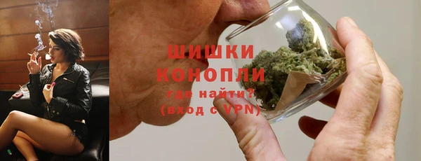 прущие грибы Баксан