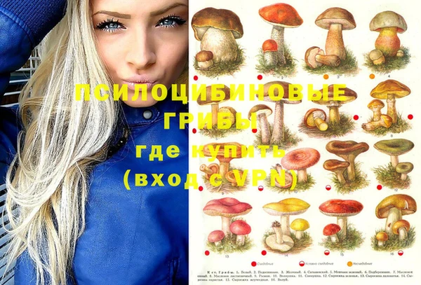 прущие грибы Баксан