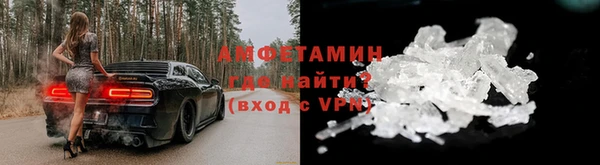 прущие грибы Баксан