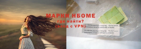 прущие грибы Баксан