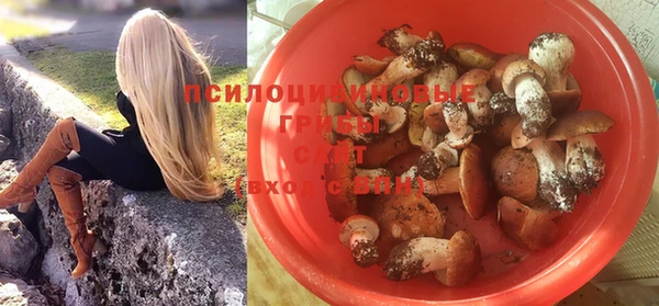 прущие грибы Баксан
