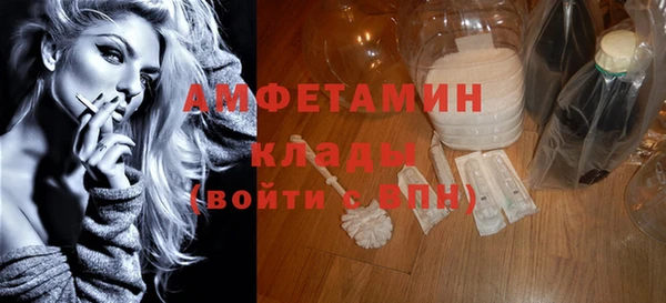 прущие грибы Баксан