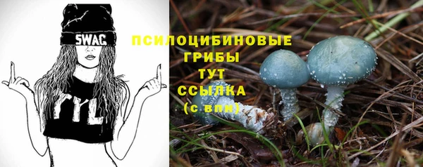мет Балахна