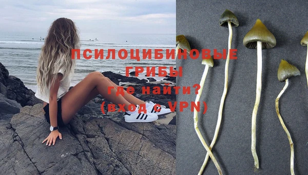 спиды Каменка