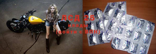 прущие грибы Баксан