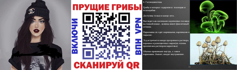 Галлюциногенные грибы MAGIC MUSHROOMS  Лакинск 